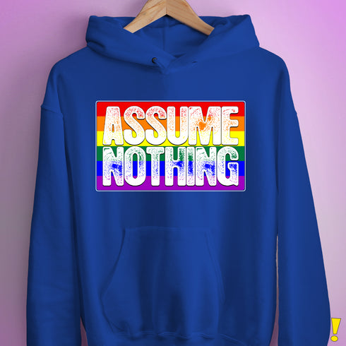 Assume Nothing LGBTQ Pride Flag Hoodie - Royal Blue